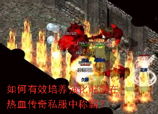 �����Ч����ǿ����������Ѫ����˽���гưԣ�