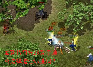 最新传奇私服新手适合选择道士职业吗? 最新传奇私服新手适合选择道士职业吗?