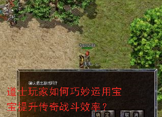 道士玩家如何巧妙运用宝宝提升传奇战斗效率? 道士玩家如何巧妙运用宝宝提升传奇战斗效率?