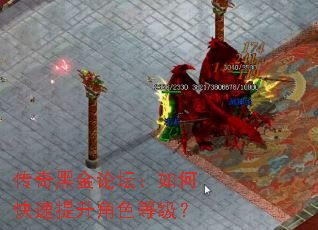 传奇黑金论坛:如何快速提升角色等级? 传奇黑金论坛:如何快速提升角色等级?