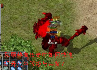 私服热血传奇中如何快速提升角色等级与装备? 私服热血传奇中如何快速提升角色等级与装备?