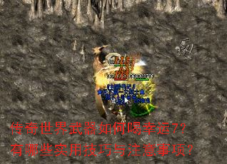 传奇世界武器如何喝幸运7?有哪些实用技巧与注意事项? 传奇世界武器如何喝幸运7?有哪些实用技巧与注意事项?