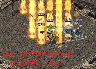 如何在复古热血传奇私服中快速提升角色等级? 如何在复古热血传奇私服中快速提升角色等级?