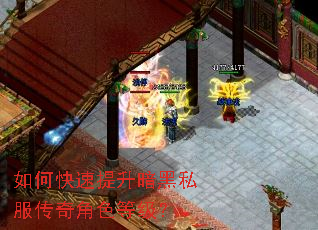 如何快速提升暗黑私服传奇角色等级? 如何快速提升暗黑私服传奇角色等级?