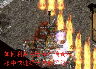 如何利用弓箭手在传奇私服中快速提升技能等级? 如何利用弓箭手在传奇私服中快速提升技能等级?