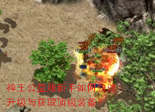 神王公益服新手如何快速升级与获取顶级装备? 神王公益服新手如何快速升级与获取顶级装备?