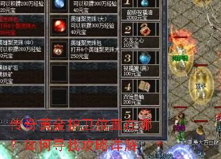 传奇黄金护卫位置在哪?如何寻找攻略详解 传奇黄金护卫位置在哪?如何寻找攻略详解