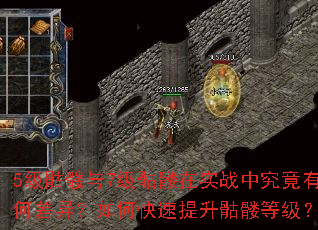 5级骷髅与7级骷髅在实战中究竟有何差异?如何快速提升骷髅等级? 5级骷髅与7级骷髅在实战中究竟有何差异?如何快速提升骷髅等级?