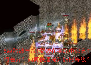 5级骷髅与7级骷髅在实战中究竟有何差异?如何快速提升骷髅等级? 5级骷髅与7级骷髅在实战中究竟有何差异?如何快速提升骷髅等级?