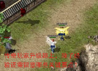 传奇玩家升级路上,除了经验还需留意哪些关键要点? 传奇玩家升级路上,除了经验还需留意哪些关键要点?