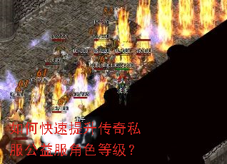 如何快速提升传奇私服公益服角色等级? 如何快速提升传奇私服公益服角色等级?