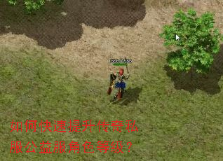 如何快速提升传奇私服公益服角色等级? 如何快速提升传奇私服公益服角色等级?