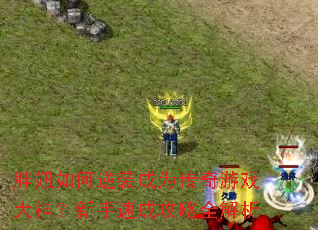 胖妞如何逆袭成为传奇游戏大神?新手速成攻略全解析 胖妞如何逆袭成为传奇游戏大神?新手速成攻略全解析