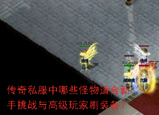 传奇私服中哪些怪物适合新手挑战与高级玩家刷装备? 传奇私服中哪些怪物适合新手挑战与高级玩家刷装备?