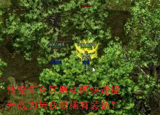 传奇年合区后如何快速提升战力与获取稀有装备? 传奇年合区后如何快速提升战力与获取稀有装备?