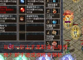 如何一秒上手单职业私服传奇?新手速成攻略全解析 如何一秒上手单职业私服传奇?新手速成攻略全解析