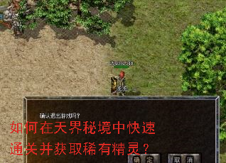 如何在天界秘境中快速通关并获取稀有精灵? 如何在天界秘境中快速通关并获取稀有精灵?