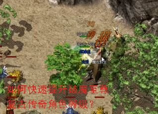 如何快速提升破魔至尊复古传奇角色等级? 如何快速提升破魔至尊复古传奇角色等级?