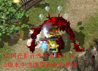 如何在新开传奇私服31.45版本中快速提升角色等级? 如何在新开传奇私服31.45版本中快速提升角色等级?