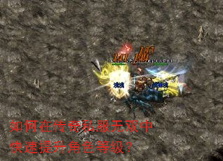 如何在传奇私服无双中快速提升角色等级? 如何在传奇私服无双中快速提升角色等级?