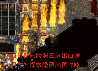 ��Ѫ�������ö��������ͨ��η���̽�����ص�ͼ����