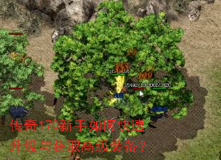 传奇170新手如何快速升级与获取高级装备? 传奇170新手如何快速升级与获取高级装备?