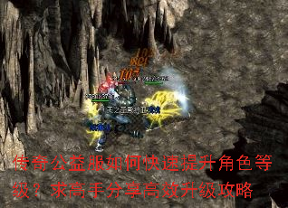 传奇公益服如何快速提升角色等级?求高手分享高效升级攻略 传奇公益服如何快速提升角色等级?求高手分享高效升级攻略