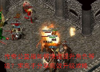 传奇公益服如何快速提升角色等级?求高手分享高效升级攻略 传奇公益服如何快速提升角色等级?求高手分享高效升级攻略