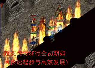 ���䴫��SF�л������ο��������Ч��չ��